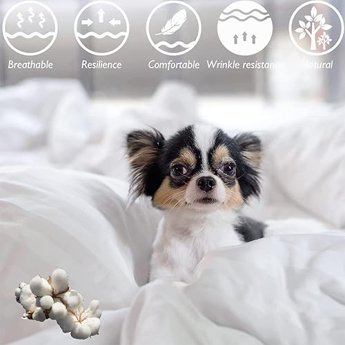 Miniatura 8 de Brandream Manta acolchada de algodón con estampado de cachemira blanca para cama, sofá cama, 47 x 60 pulgadas, mantas decorativas