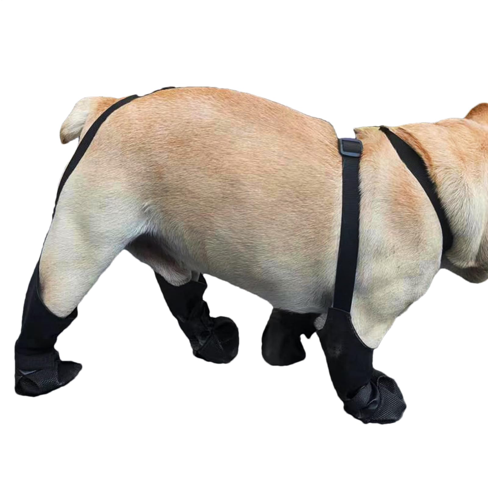 Chaussons pour chien avec bretelles anti-perte contre le sel et le gel
