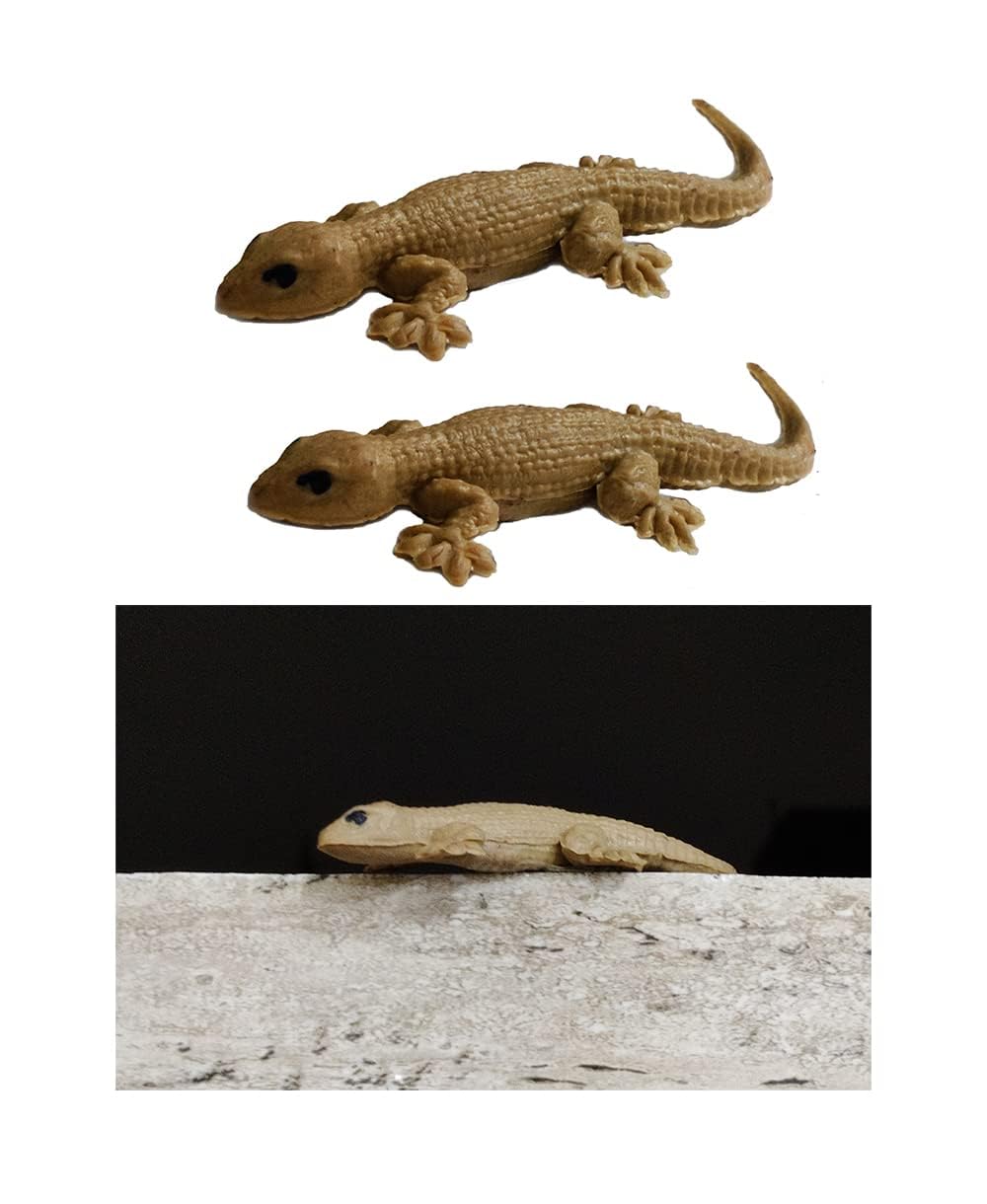 JAGMOOLYA Products Brown Lizard Chipkali Toys Fake Lizard House Gecko Rubber Practical Jokes and Prank Trick Toys Real Looking Lizard (Pack of 8) (B0CK29W29D) Amazon Price History, Amazon Price Tracker