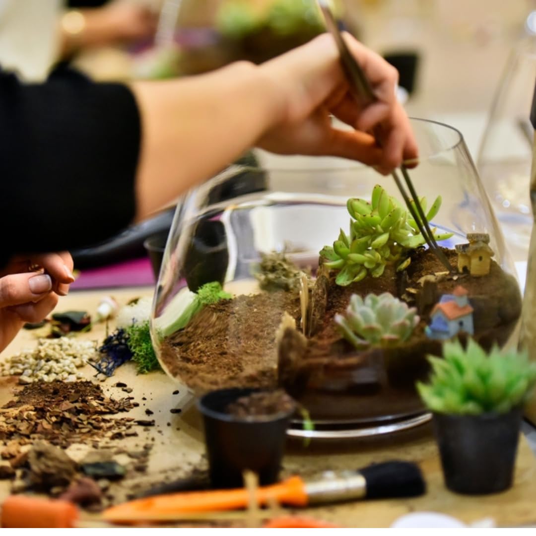 Kit Terrarium Fai da Te per Piante Grasse - I Giardini di Giulia - Completo di Vaso in Vetro, Tappo in sughero, Piante Succulente, accessori, substrati ed elementi decorativi