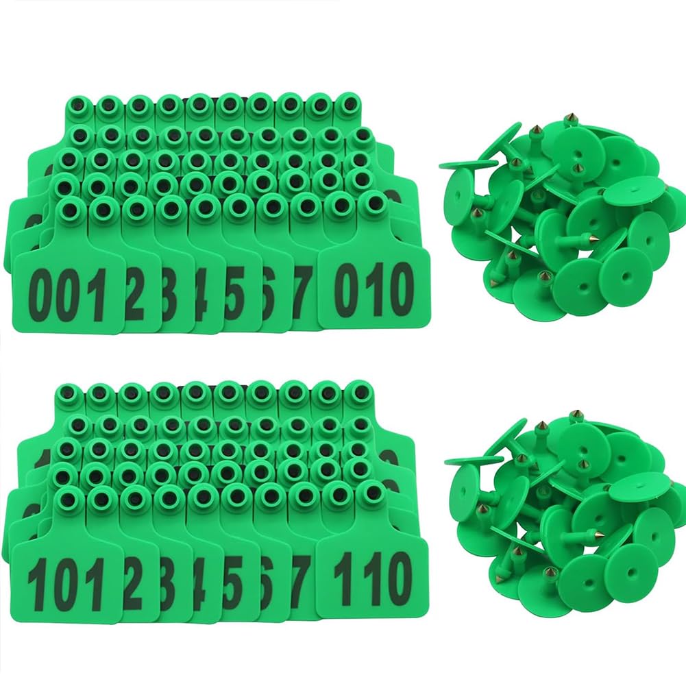 590837_6 590837_6