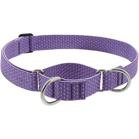 lilac dog collar