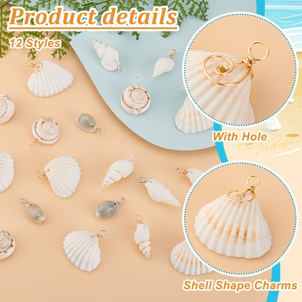 PH PandaHall 72pcs 12 Styles Natural Shell Pendants White Scallop Spiral Cowrie Shell Pendants Natural Seashells Charms Jewelry Charms for Jewelry Making Home Decor Wedding Summer Ocean Beach Party - Image 6