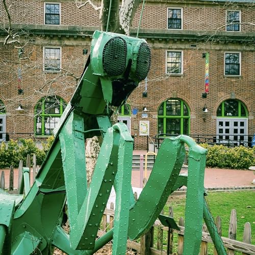 Honoring Local Women Through Art, Plus More Stories On Staten Island