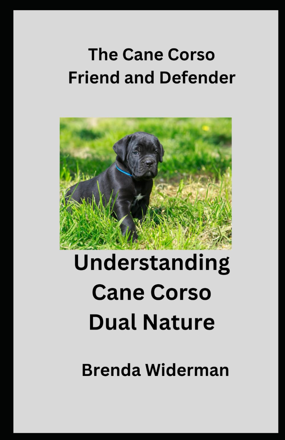 The Cane Corso Friend And Defender: Understanding The Cane Corso's Dual Nature