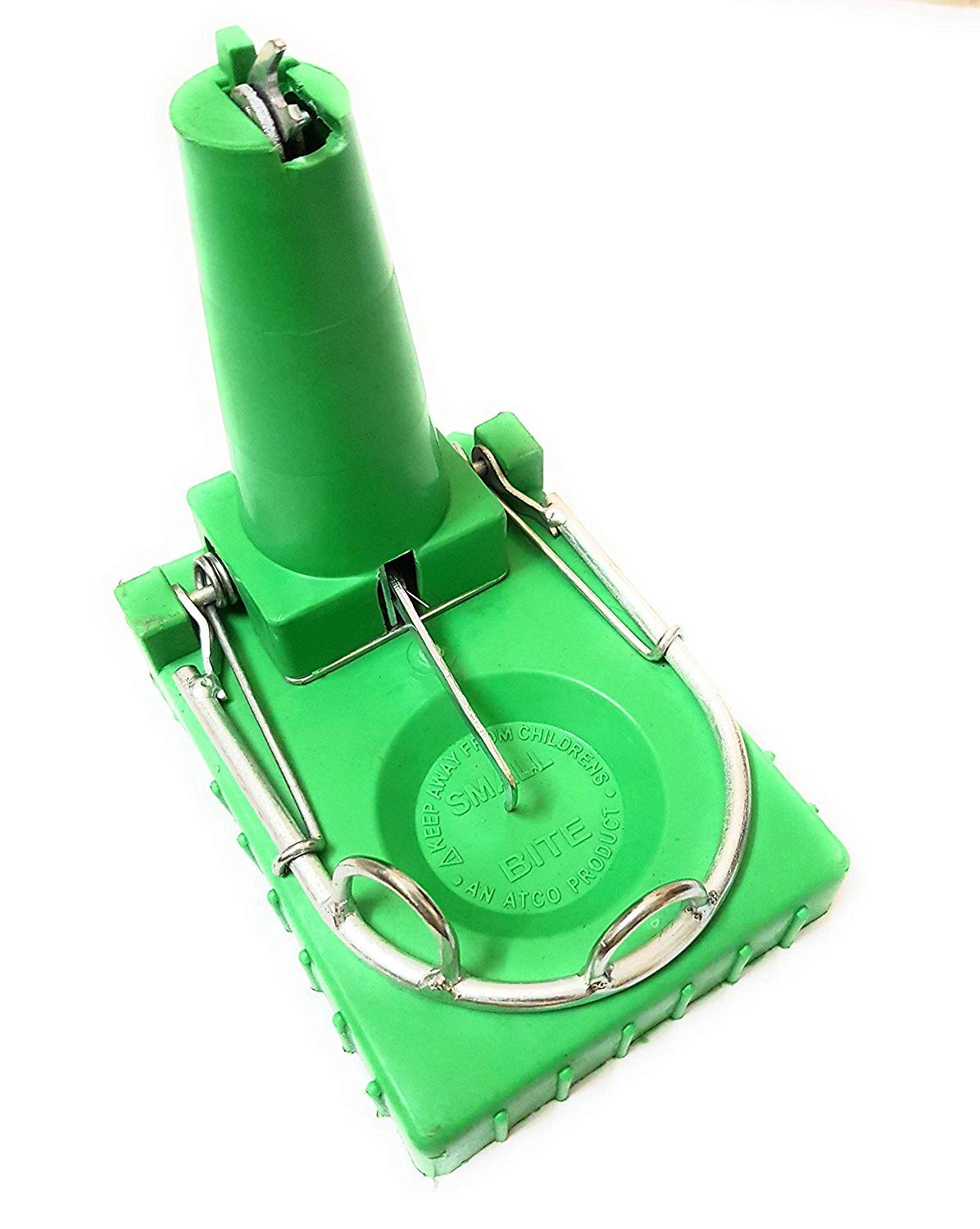 Atco Udyog Atco Standard Rat Trap Green And Grey Colour (B07MWCG59P) Amazon Price History, Amazon Price Tracker