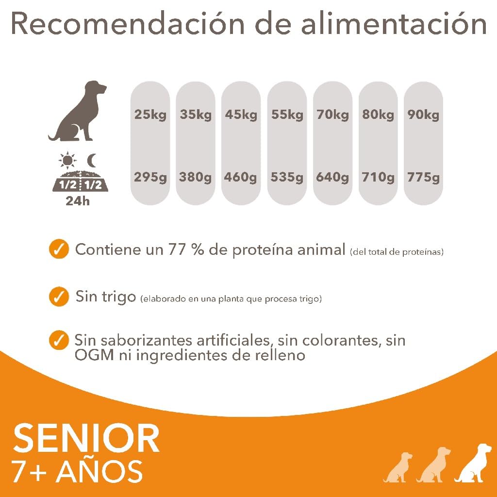 IAMS Alimento Seco para Perros Senior de Razas Grandes, Pollo, 12kg | Alimento seco | para perros mayores | a partir de 7 años | para razas grandes