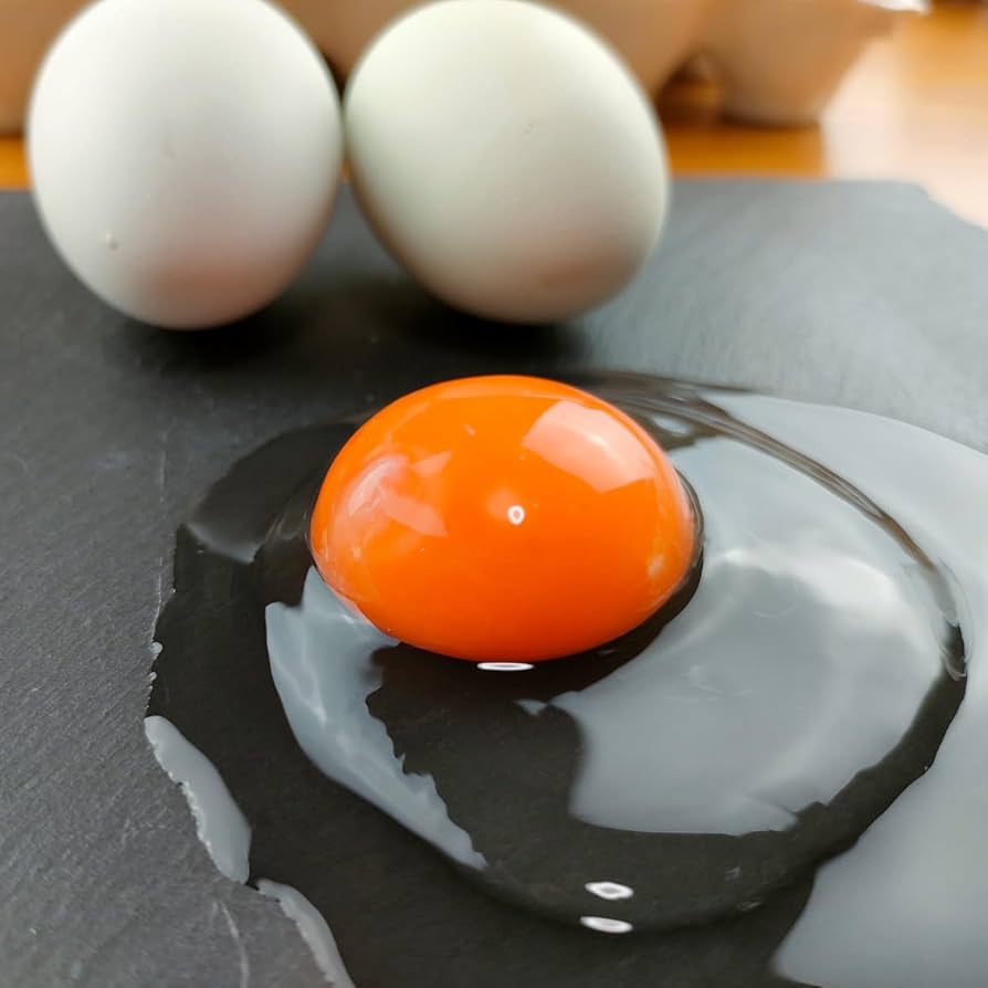 Amazon | 烏骨鶏苑 アローカナ卵 10×6 鶏卵 | 株式会社ふるさと