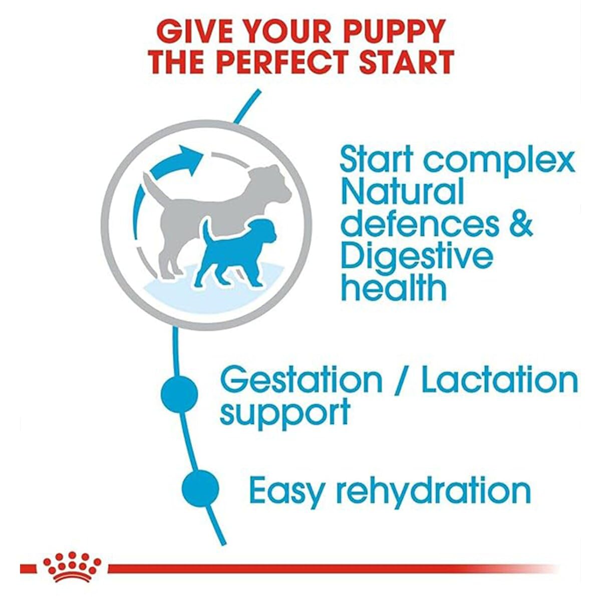 Royal Canin Baby Pellet Dog Food Mini Starter, Meat, 1 kg 4