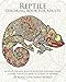 Reptile Coloring Book For Adults: An Adult Coloring Book Of 40 Reptiles Including Snakes, Lizards, Turtles and More in a Variety of Patterns (Animal Coloring Books for Adults)