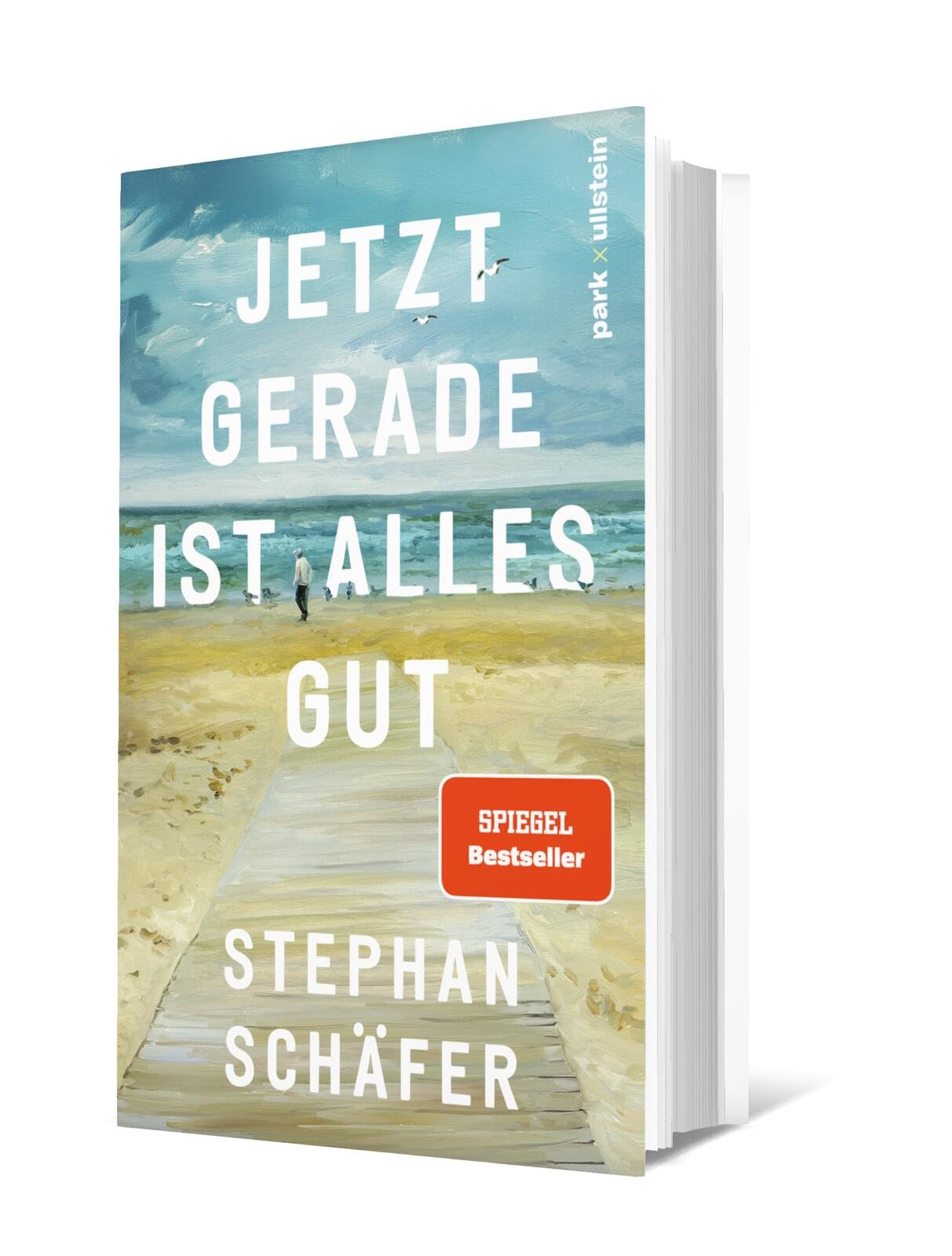 Jetzt gerade ist alles gut: Nach dem SPIEGEL-Bestseller "25 letzte Sommer" - der neue Roman von Erfolgsautor Stephan Schäfer