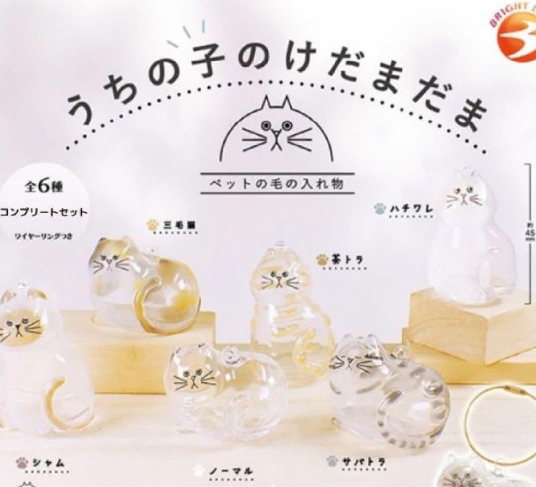 Amazon | うちの子のけだまだま ガチャガチャ カプセルトイ 猫 三毛猫