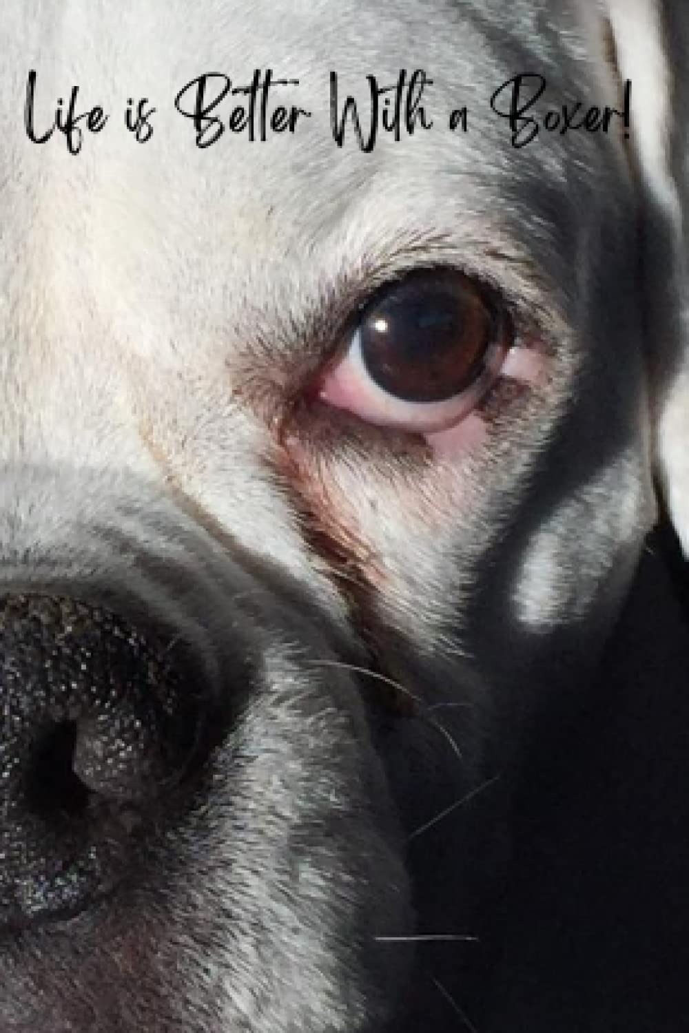 Life is Better With a Boxer: The perfect, portable, incognito password keeper. 4" x 6". 100 blank pages.