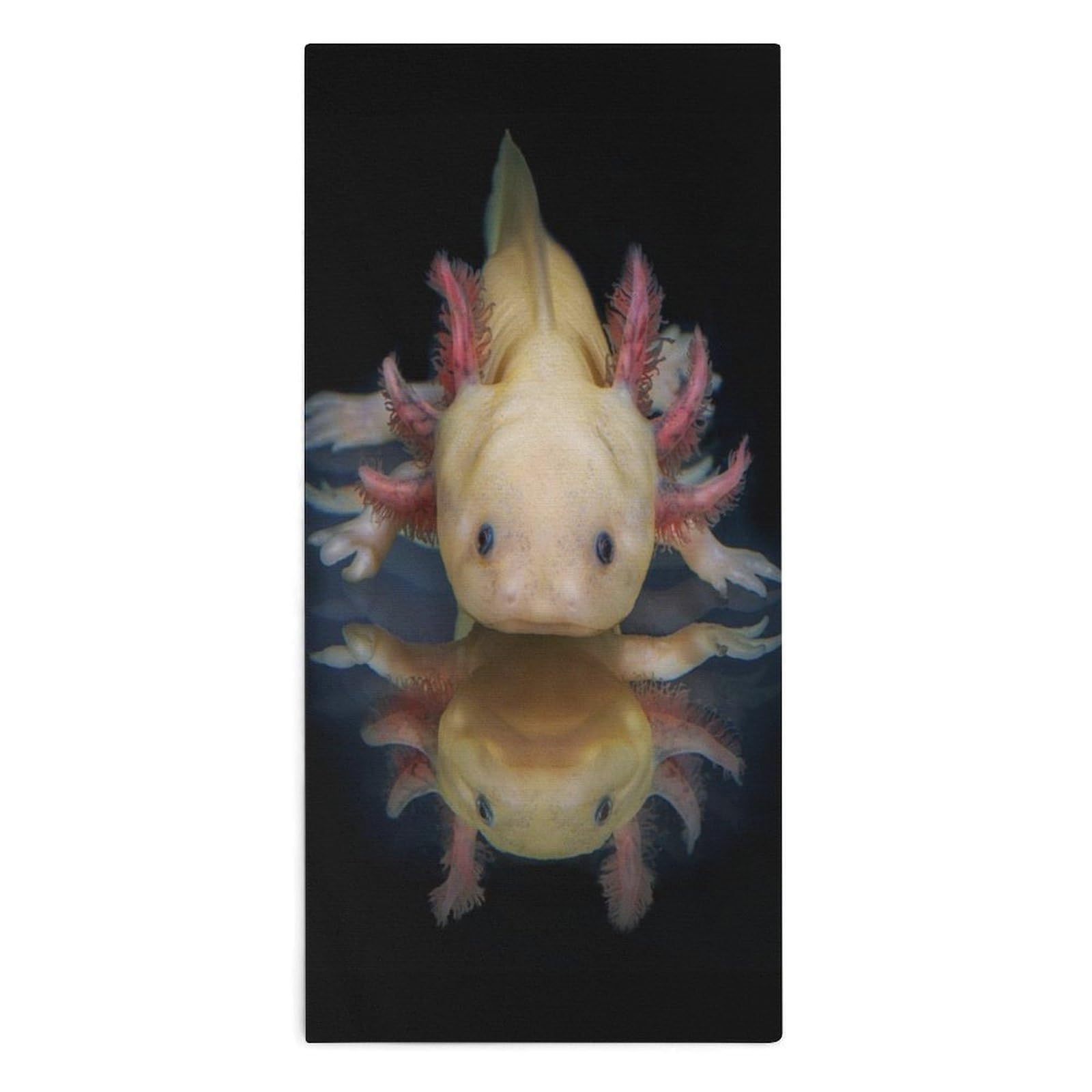 NCLQVJXZKHW Animal Axolotl Hand Towels Soft Face Towel Gym Bathroom Travel Hotel 13"x28"