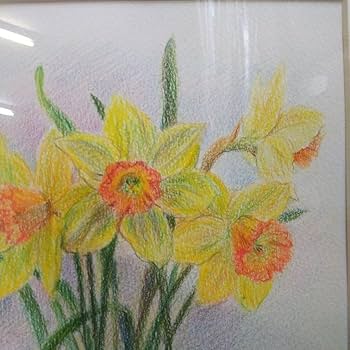 Amazon.co.jp: 画家保田三友紀の色鉛筆画「ラッパ水仙」F3号額縁