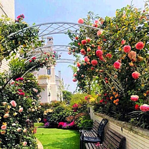 ZBJDX Gartenlaube, Metall, gewölbtes Rankgitter, Weinrebenbogen, Blumenregal, Pflanzen, Klettergitter, Outdoor, Hinterhofzaun, Stützrahmen, Grün, 180 cm