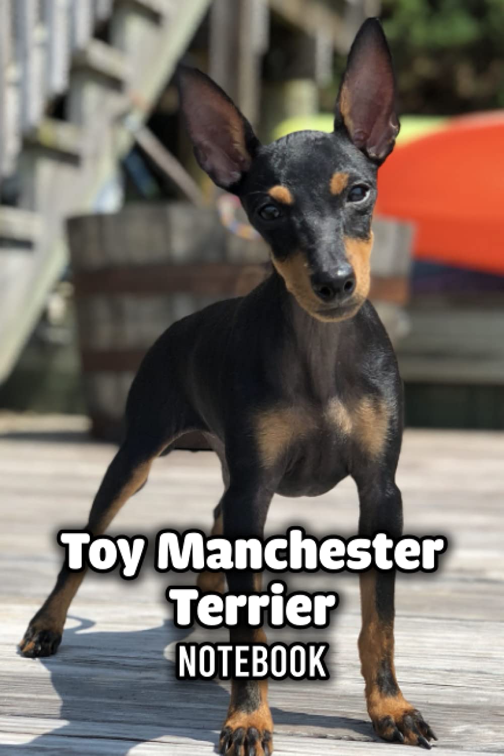 Toy Manchester Terrier Notebook: Notebook|Journal| Diary/ Lined - Size 6x9 Inches 100 Pages