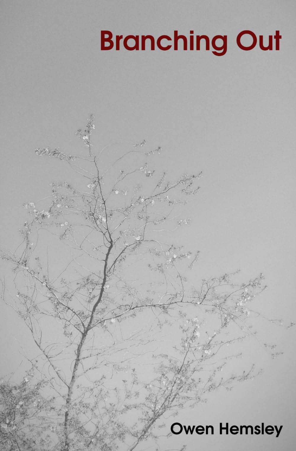 Branching Out: Bringing Heaven Down To Earth