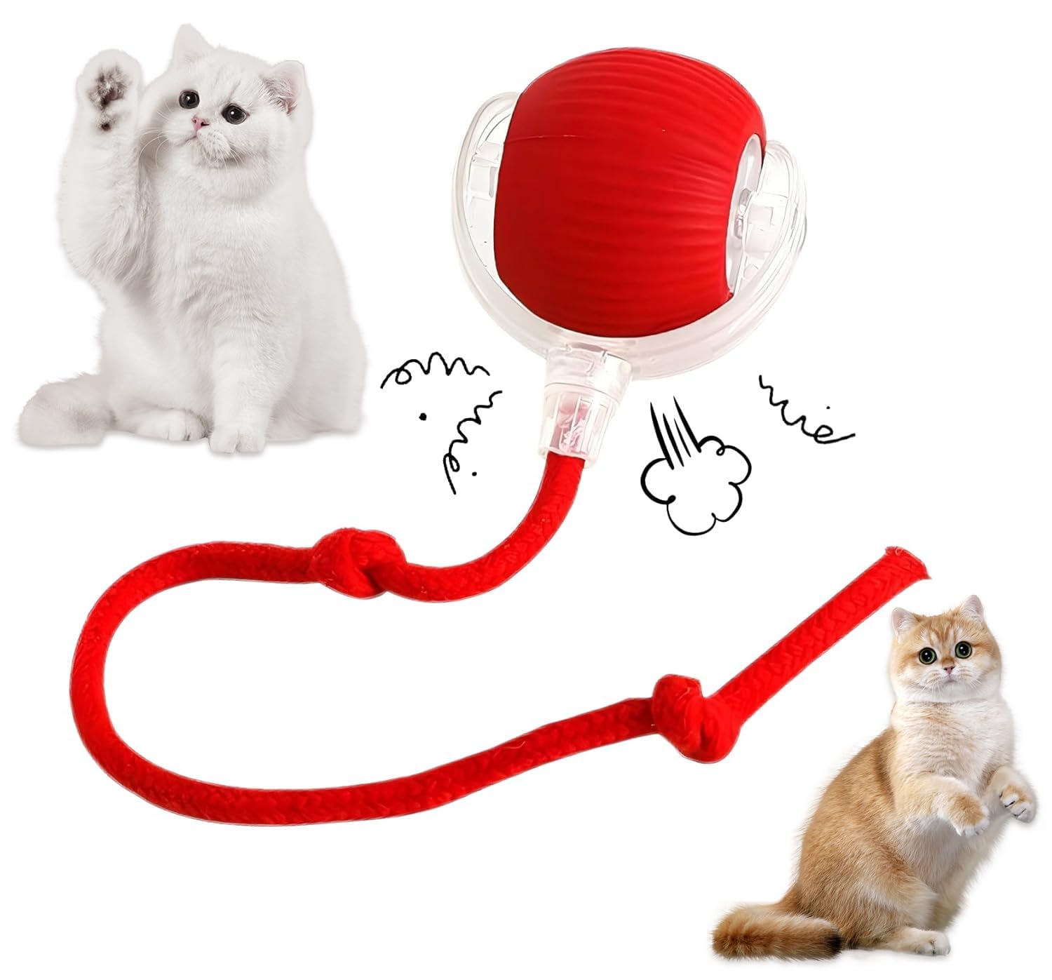 Photo 1 of SPECIALISTTRIAN Interactive Rolling Cat Ball - 360°Automatic Chew Toy for Active Cats, Rolling Small Dog Cat Toys,Smart Automatic Fast Rolling Pet Ball - cat Toys (Blue)