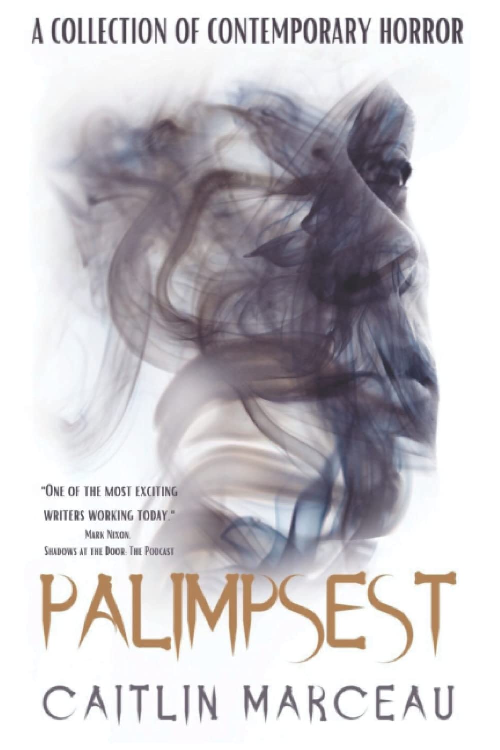Buy Palimpsest: A Collection of Contemporary Horror — BookShops.in