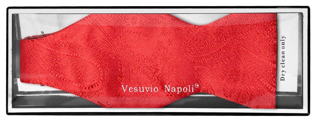 Vesuvio Napoli SELF TIE Bow Tie RED Color PAISLEY Design Men's BowTie