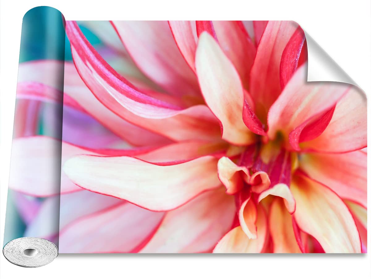 Décoration Murale Fleur Exotique pour Salon - Papier Peint Tulup 416x254cm