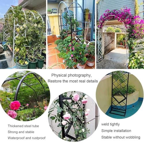 Arche de jardin solide pour soutenir durablement rosiers et vignes