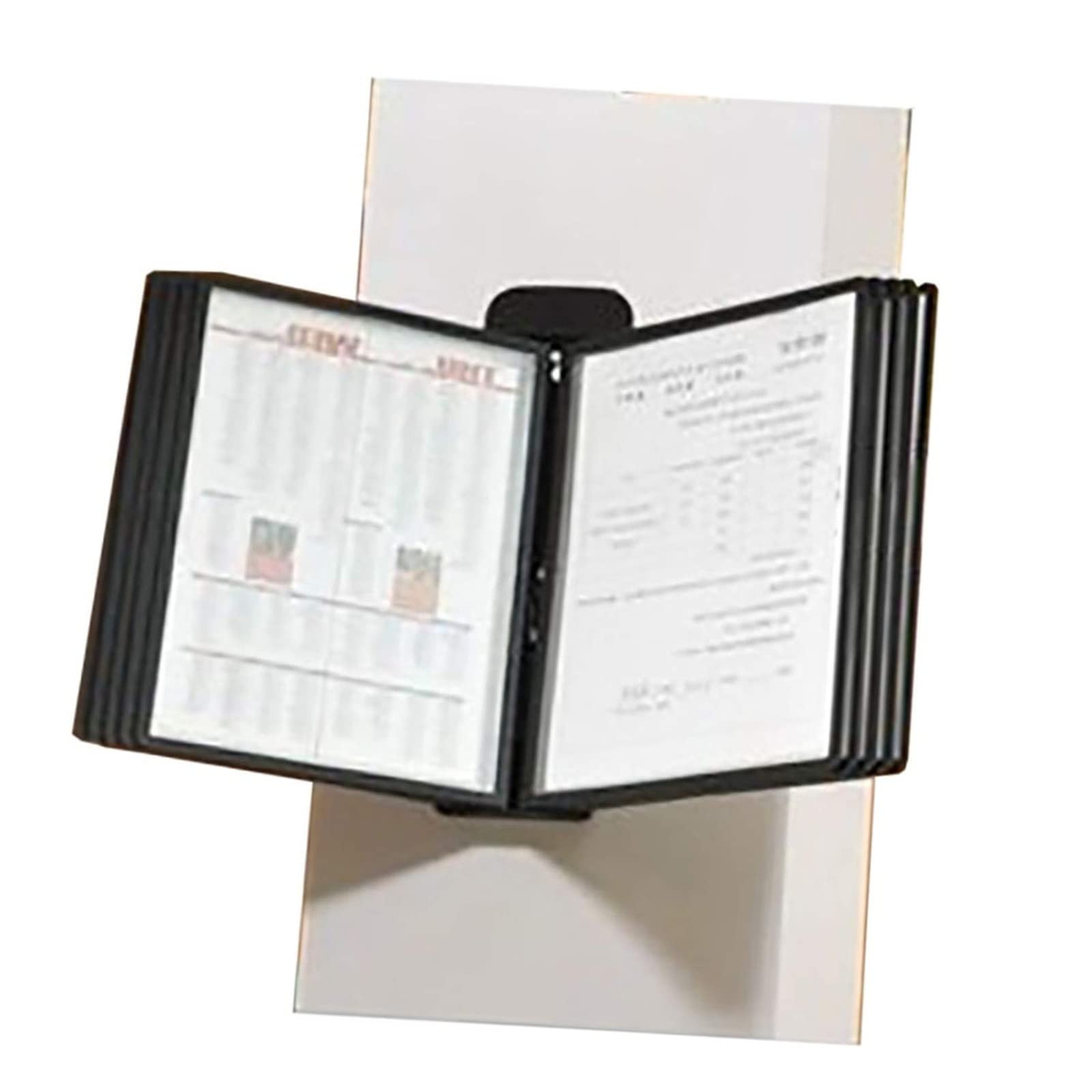 MYUYEE Wall Mount Reference Display System - Wall Mount Catalog Display Rack, 10 Matching A4 Pockets, Document Presentation Consultation Support, Desktop Flip Display Folder