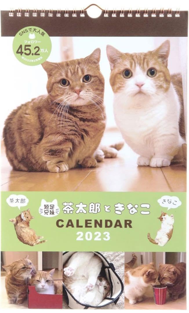 Amazon.co.jp: 茶太郎ときなこ 2023 カレンダー : 文房具・オフィス用品