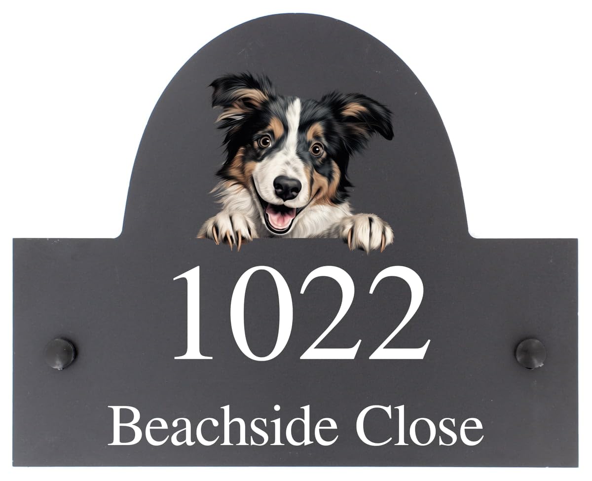 Targhetta personalizzabile con nome o numero civico in ardesia con cane Collie, 25 x 20 cm
