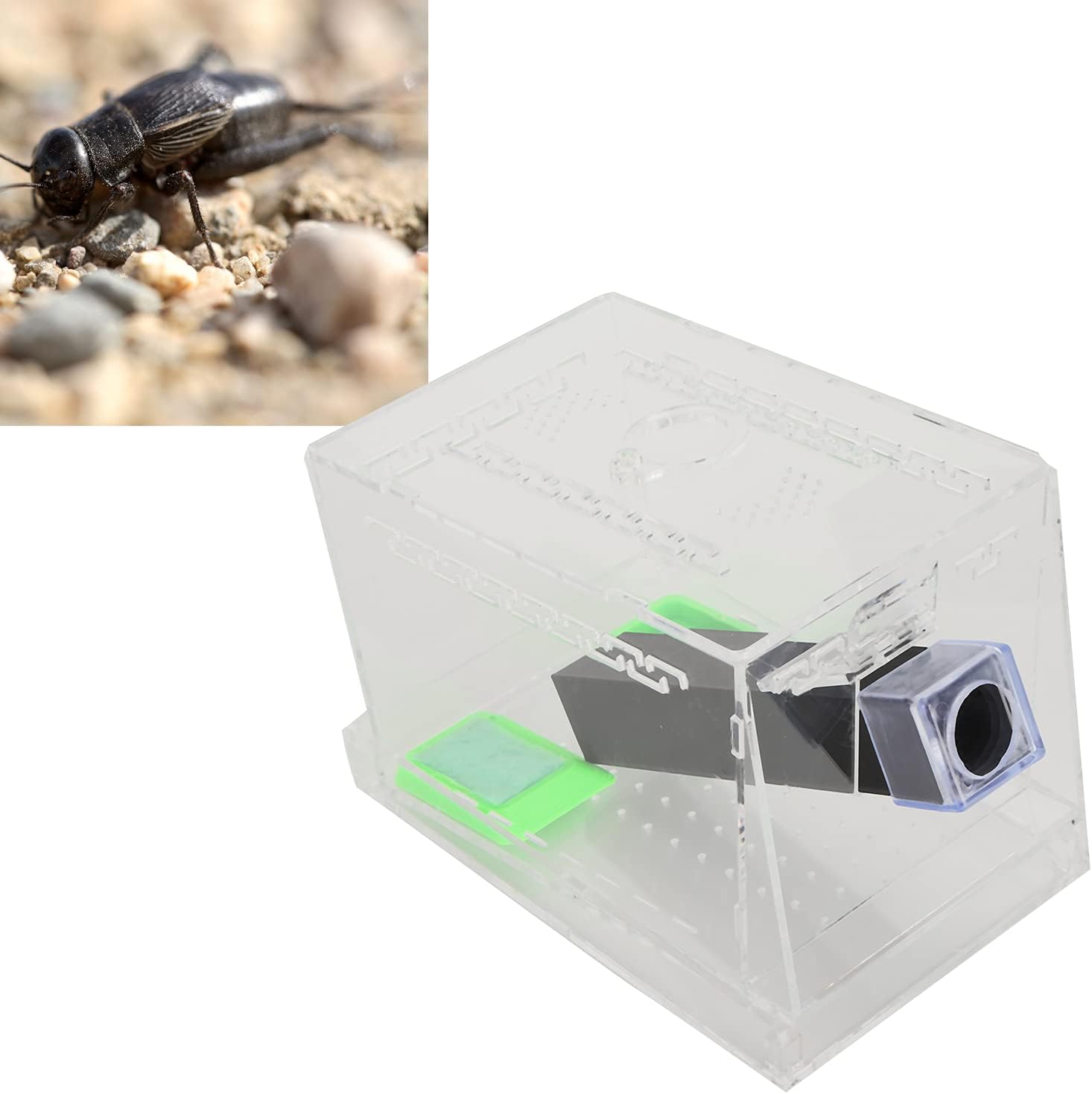 Transparent Acrylic Cricket Keeper Box, Practical and Cockroach Care Kit with Tubes for Reptile Terrarium (29x20cm/11.4x7.9in)