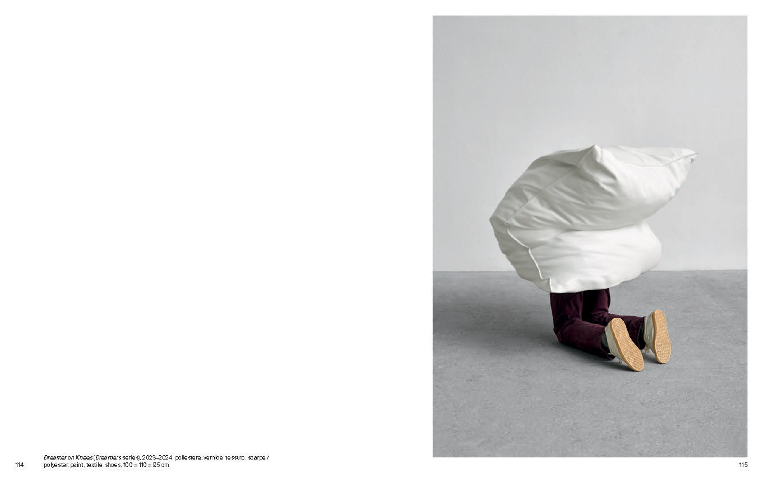 Erwin Wurm /anglais