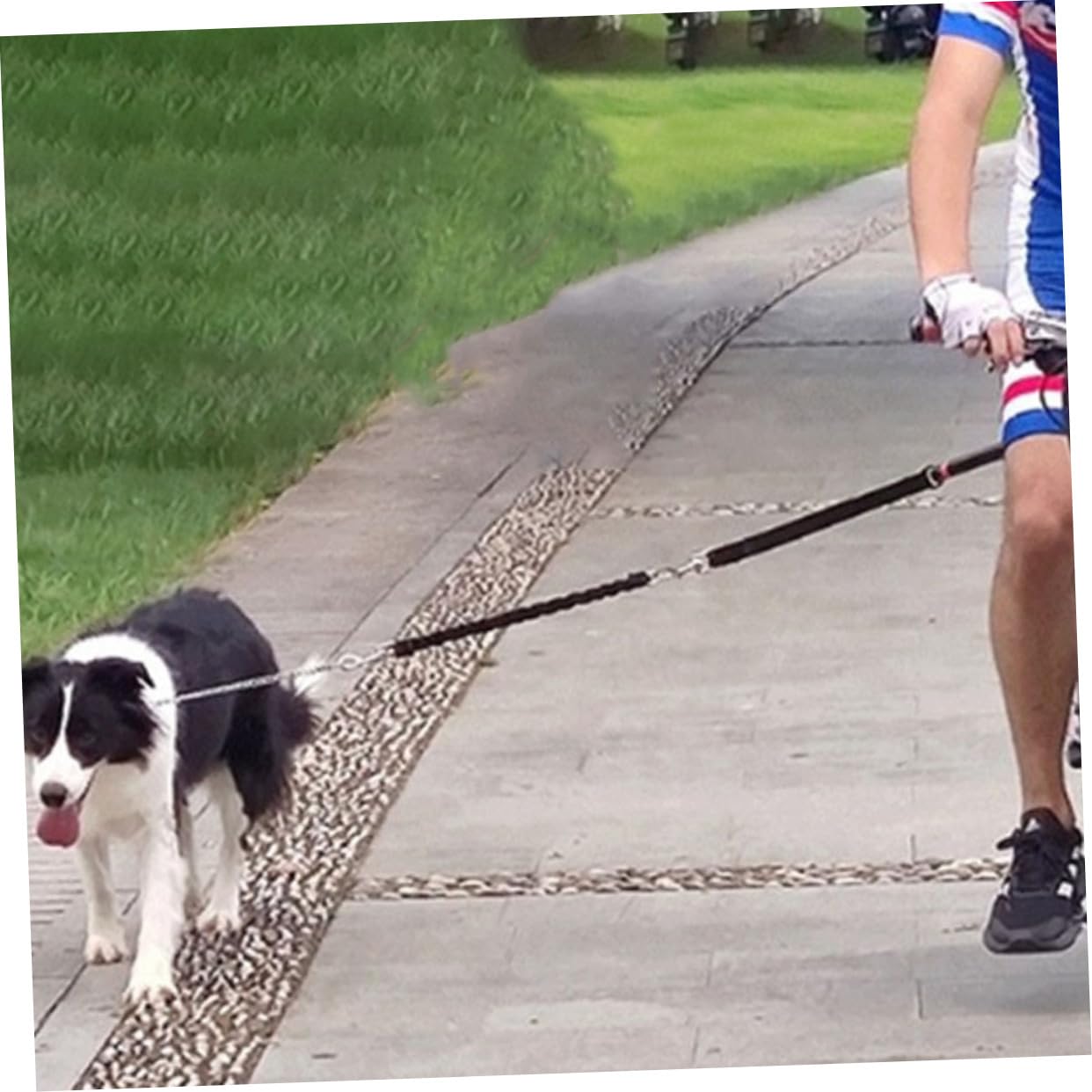 Guinzaglio per Cani da Bicicletta Robusto Design Ergonomico Oxford e Lega, Adatto per Cani Piccoli e Medi Durante Viaggi o Attività Indoor