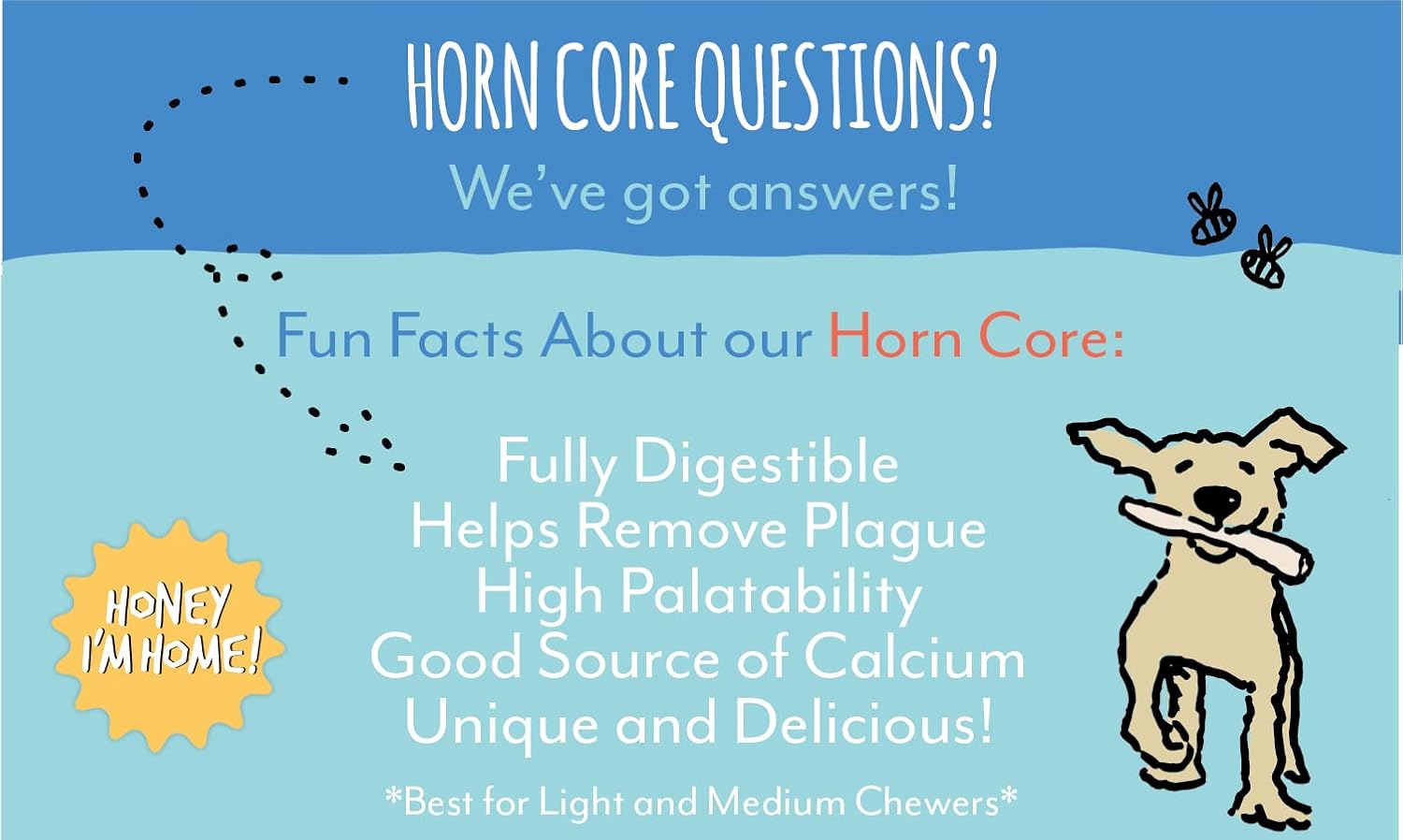 Honey I'm Home, Medium Buffalo Horn Hard Dog Chew, 15 Piece Bulk Box - All Natural, Free Range, Healthy, Grain Free & Honey Coated