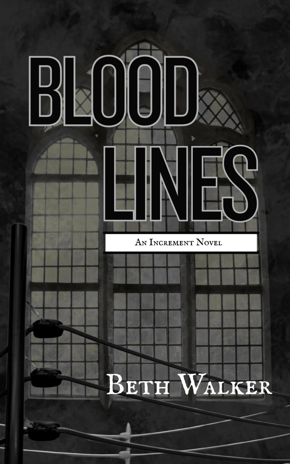 Bloodlines: Book Two of the Increment Series: 3 (Increment: Dark Ops Series)