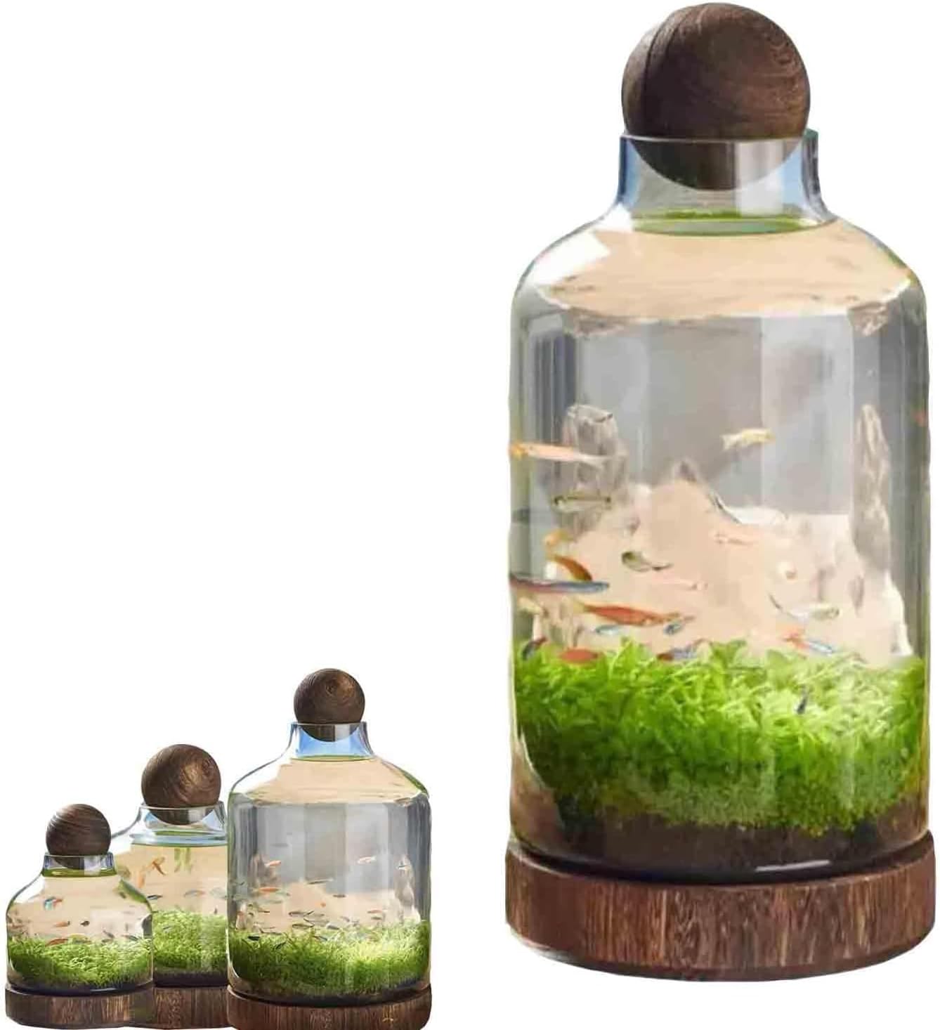 Fish Bowl Vase Desktop Clear Glass Fish Tank Aquarium Fish Plants Terrarium Home Office Decoration Gifts, B