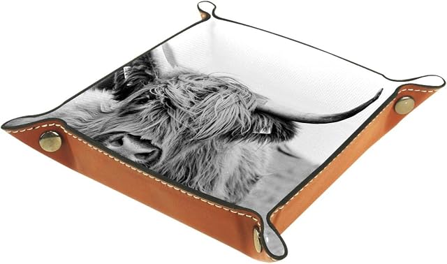 Maikoler Jewelry Dish Trinket Tray Home Decor Wedding Gift For Her Small Earrings Ring Holder Case Portrait Of A Highland Cow
