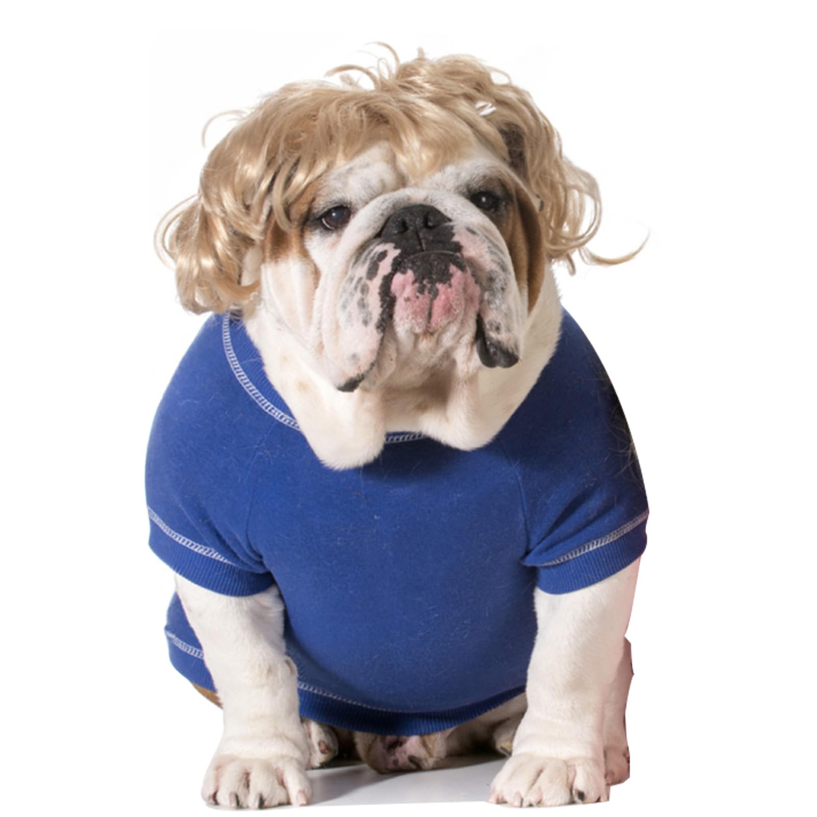 Funny Cosplay Wig for Dog, Headwear Apparel, Pet Costumes, Cat Dress up for Halloween, Christmas, Parties, Festivals (Curly Blonde Hair)