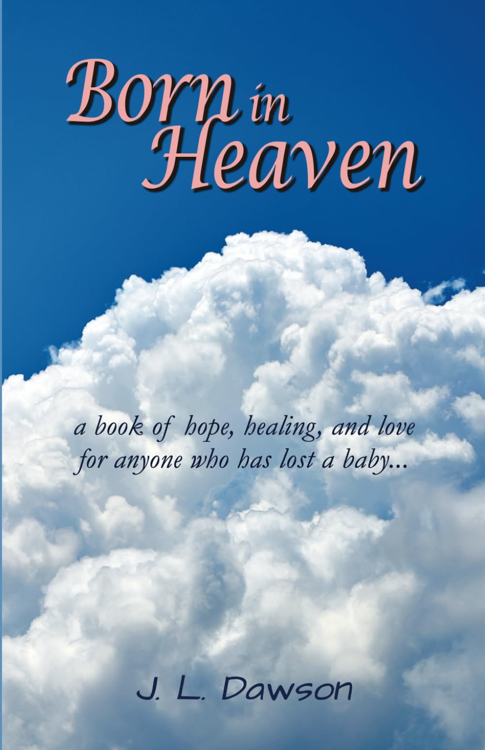 Born in Heaven: a book of hope, healing, and lovefor anyone who has lost a baby...