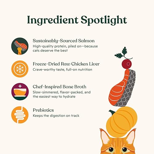 Miniatura 4 de Made by Nacho Alimento seco prémium para gatos, croquetas de alta calidad con caldo de huesos, bolsa de 10 libras (salmón, pescado blanco y calabaza)