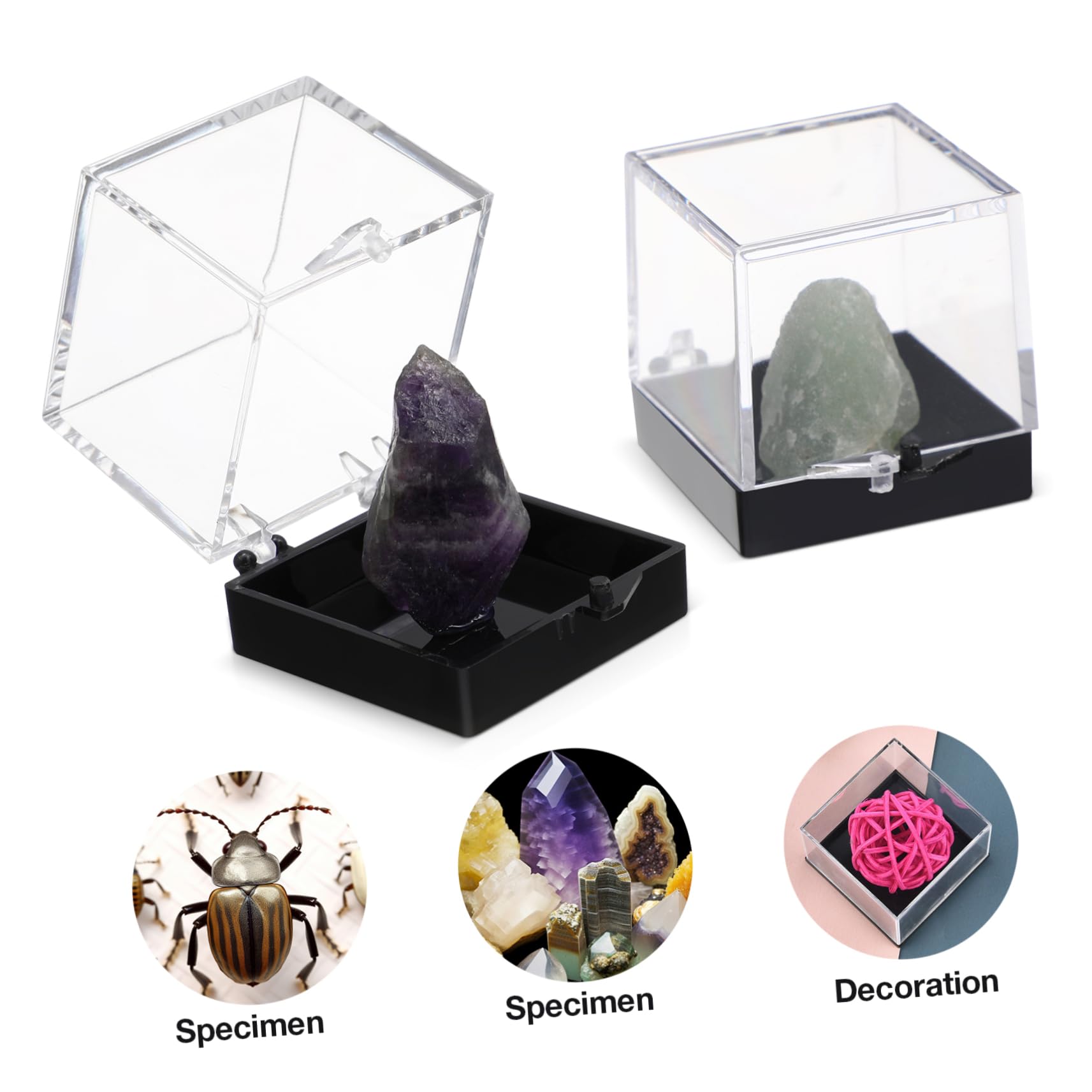 PERSELOSO 12Pcs Transparent Mineral Specimen Display Box Durable Plastic Storage Container for Rock Collectibles Easy to Clean for Showcasing Crystals and Minerals