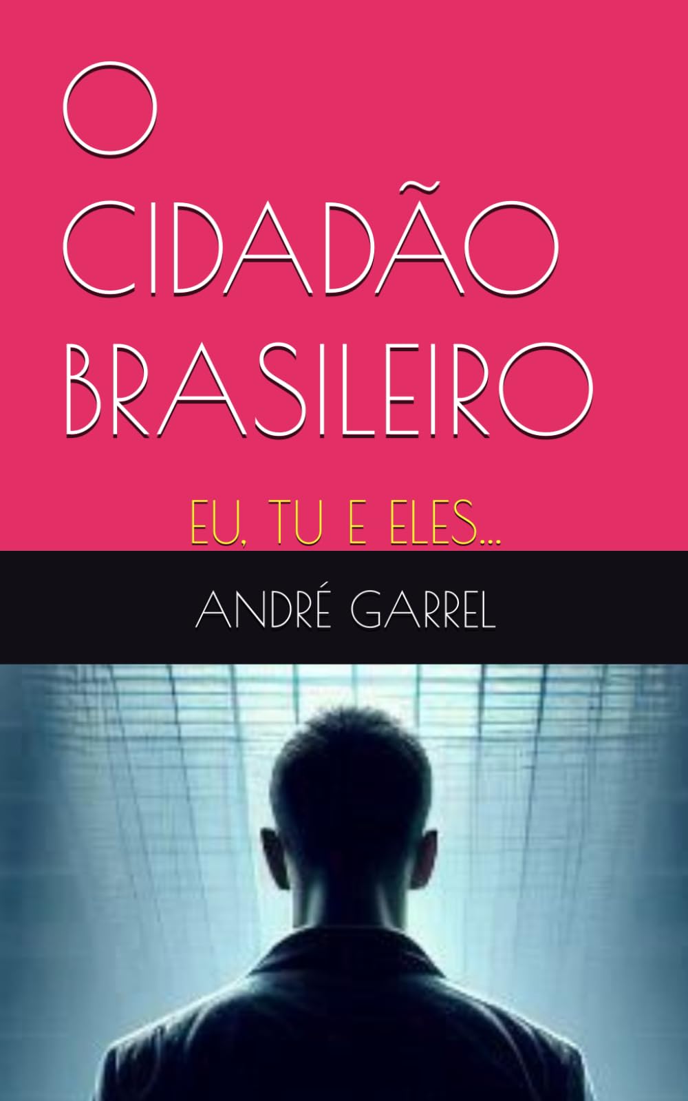 O CIDADÃO BRASILEIRO: EU, TU E ELES...