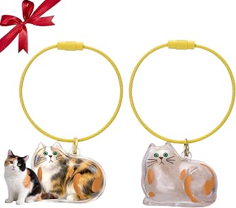 BABORUI Pet Hair Keychain, Transparent Pets Fur Keepsake Keychain for Cherish Love Memory, Pets Memorial Gifts for Pet Lovers