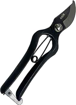 Amazon | 若獅子 剪定鋏 金止 200mm | 園芸用はさみ