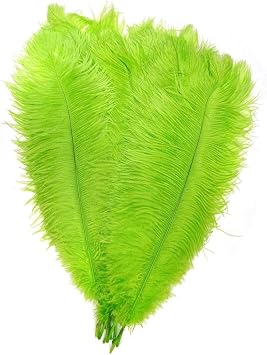AABABUY Pack of 200,Naturl Ostrich Feathers 12-14inch 30-35cm Plumes Wedding,Clothing,Party,Table Decoration,DIY Lime Green