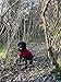 iEnergy™ OSC isolierende und warme Outdoor-Hundejacke mit Fleece-Innenfutter, windabweisender, ultraleichter und reflektierender Hundemantel, Ganzjahres-Hundeviespullover (Rot, Extra Klein)