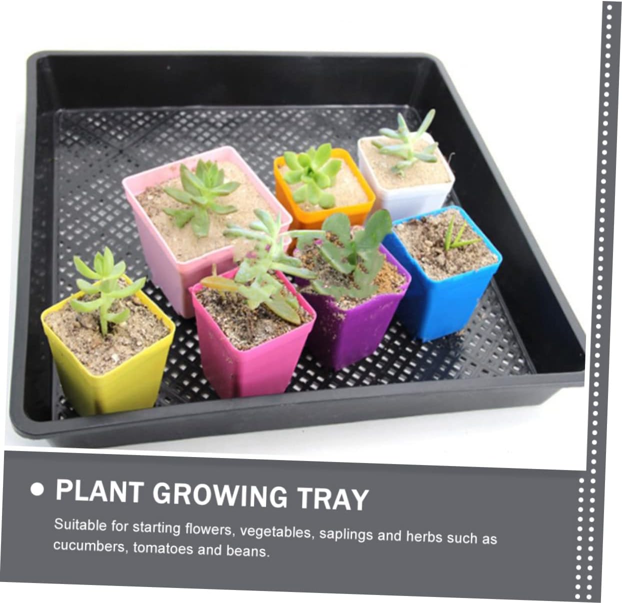 5Pcs Plant Growing Trays for Germination Breathable Nursery Sowing Containers Suitable for Seedlings Flowers Vegetables Microgreens Greenhouse Gardening