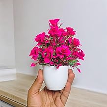 Alamcraft Artificial Plants with Pot, Decorative Durable Plastic Houseplants, Small Faux Plants for Home Decor Office Table Living Room Restaurant Gifting Bathroom Decoration (Pack of 4) Style 30