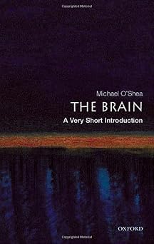 The Brain A Very Short Introduction