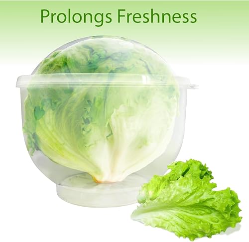 Miniatura 2 de Trenton Gifts Almacenamiento de lechuga y vegetal  7 x 8 pulgadas